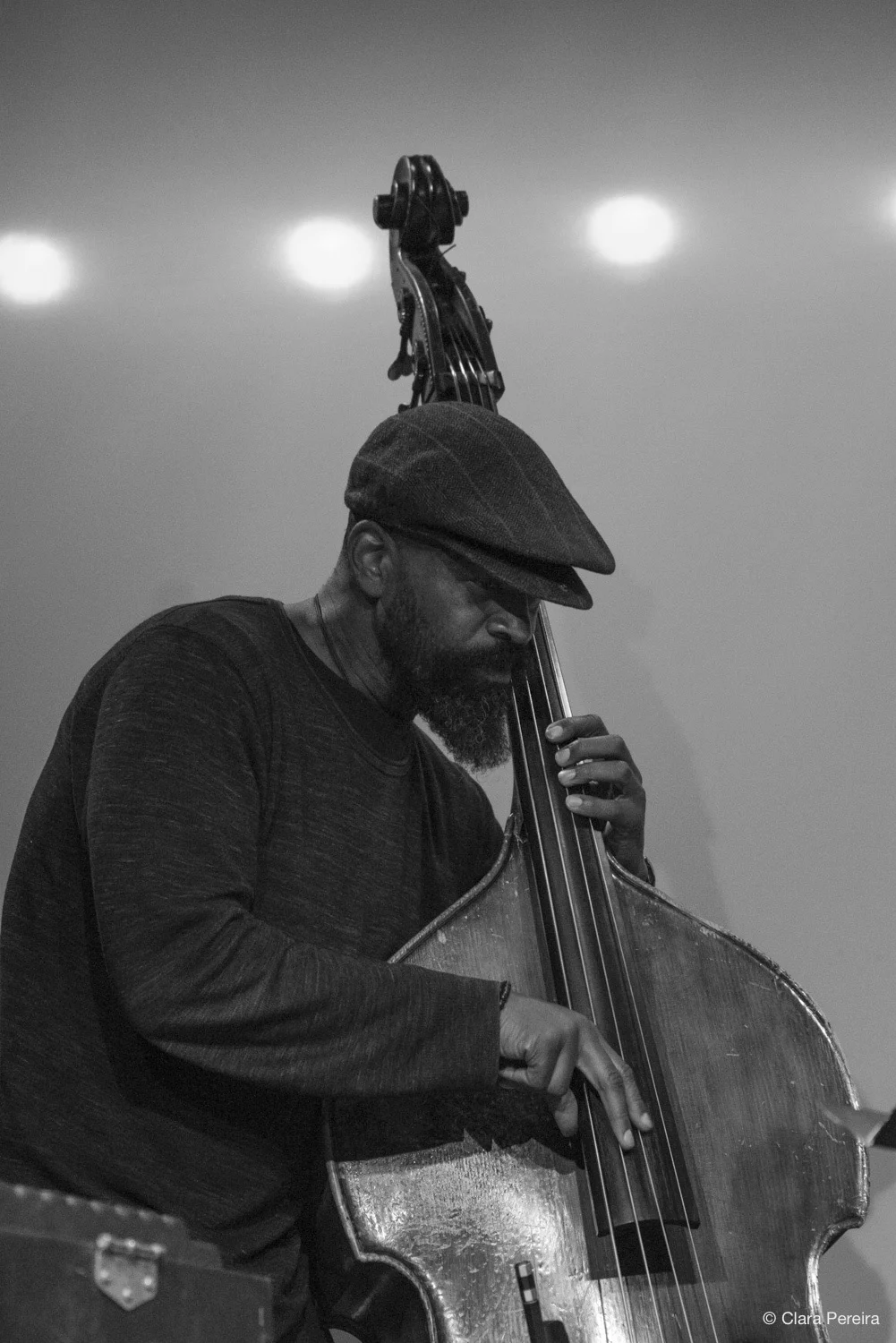 Brad Jones, 2019