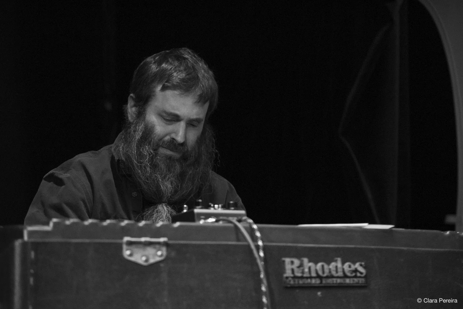 Jamie Saft, 2019