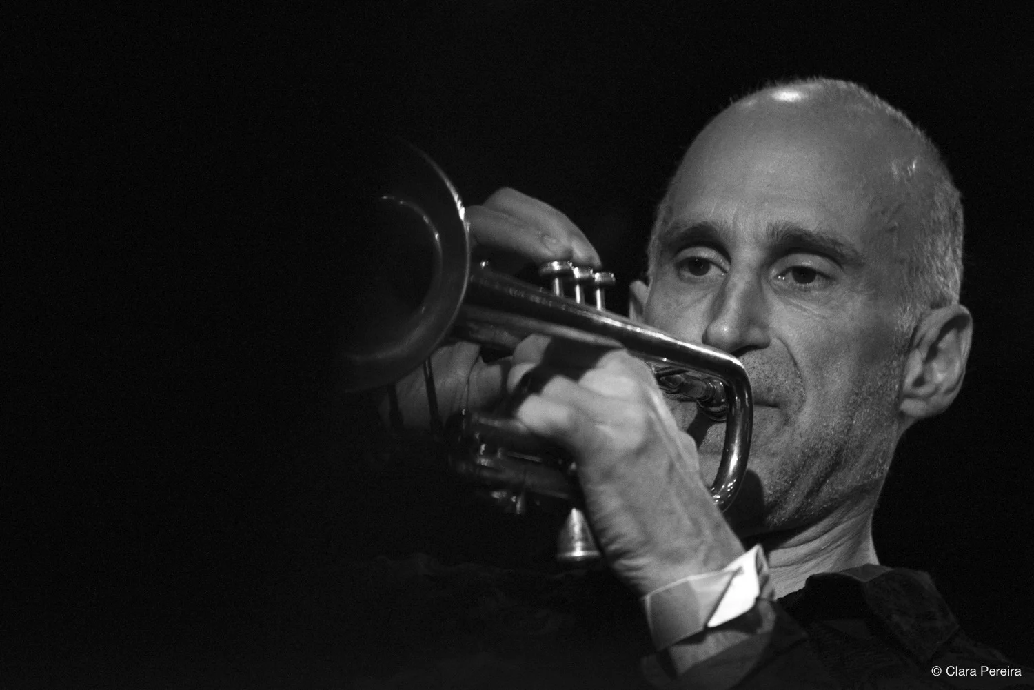 Ralph Alessi, 2019