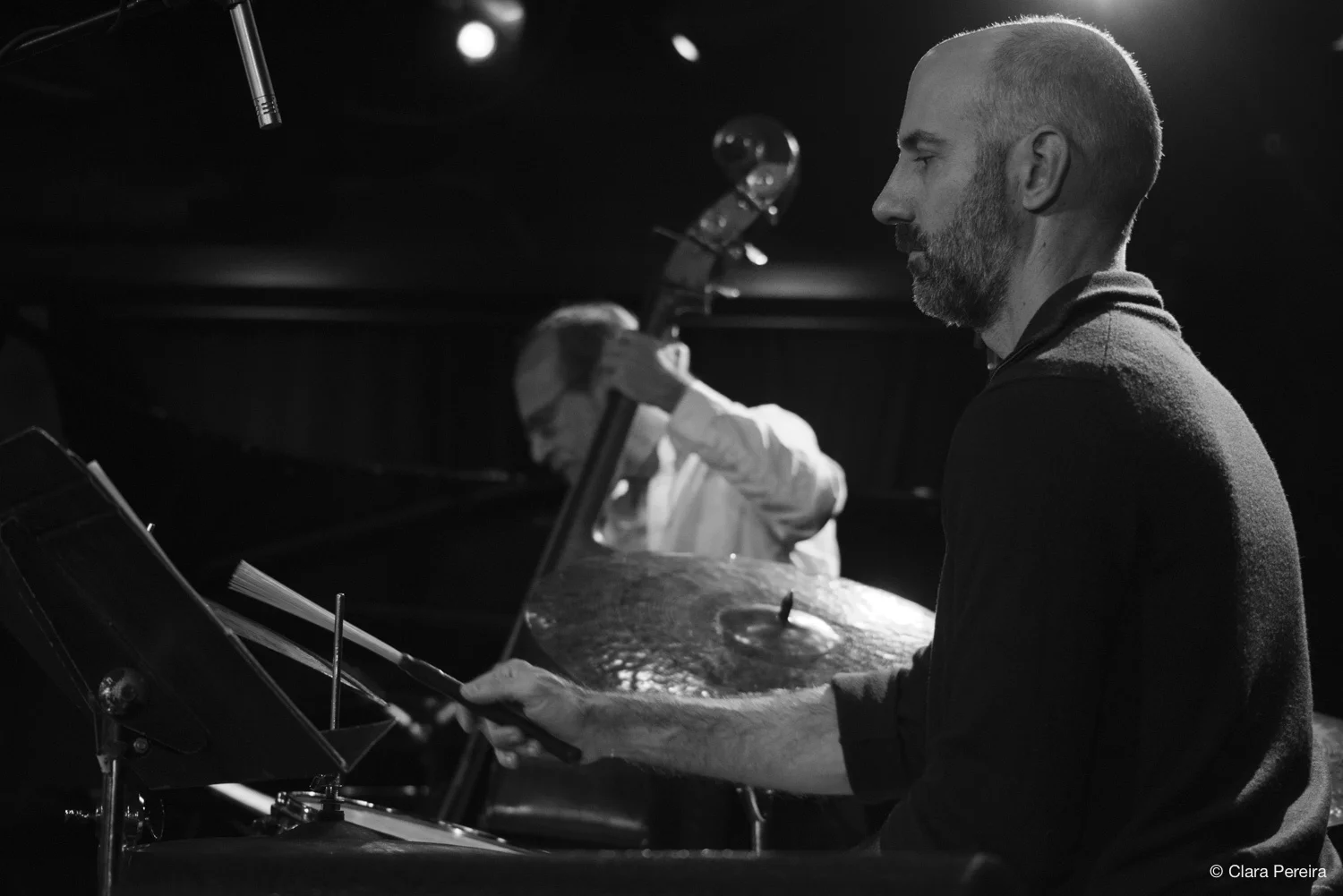 Mark Ferber, 2019