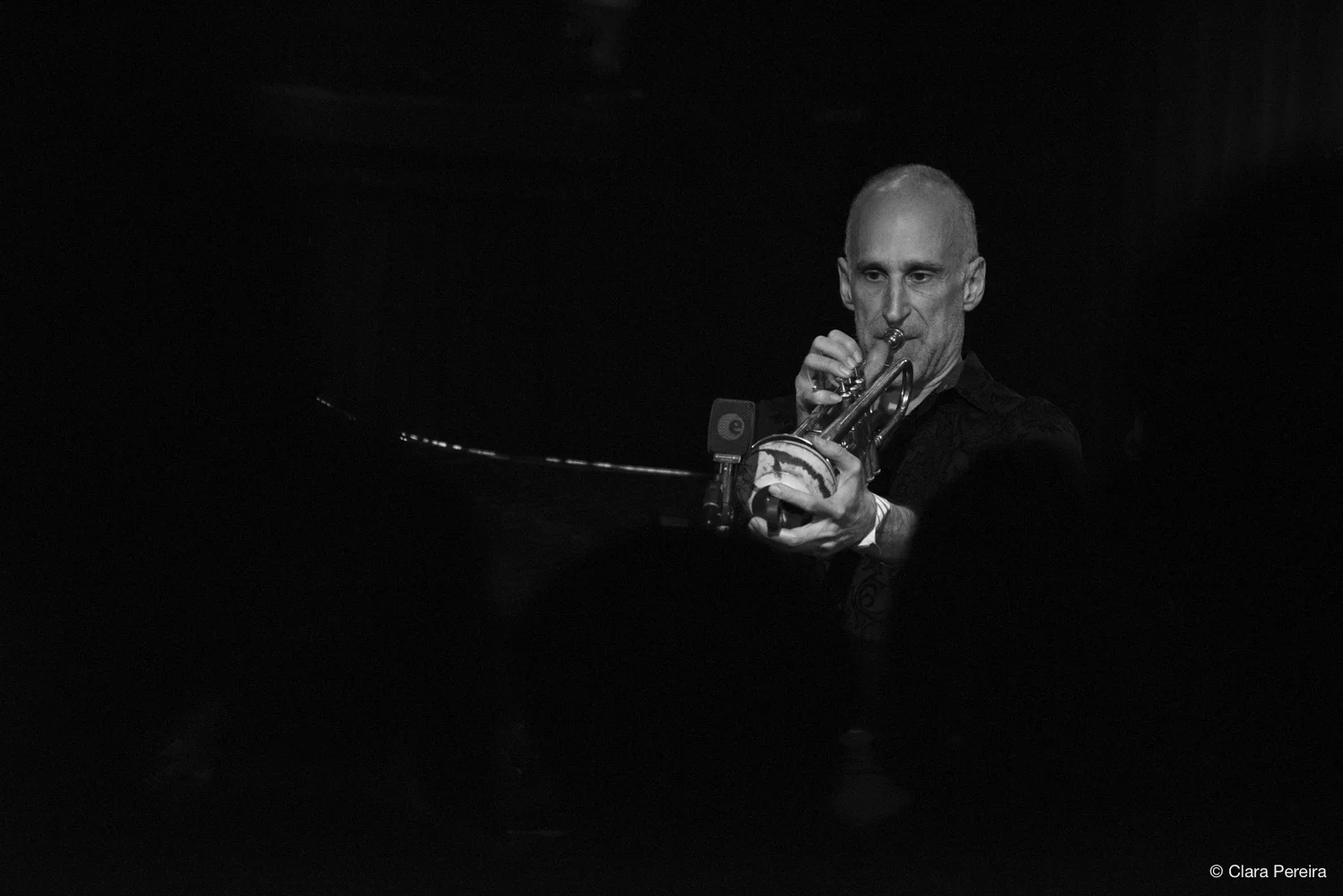 Ralph Alessi, 2019