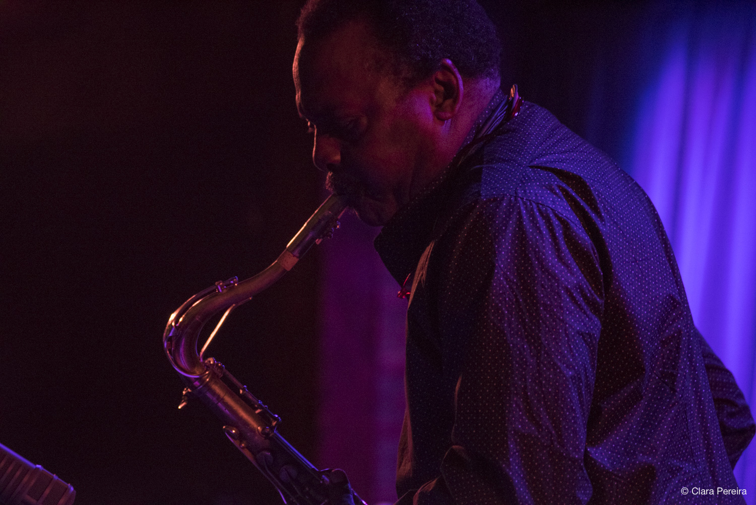 David Murray, 2019