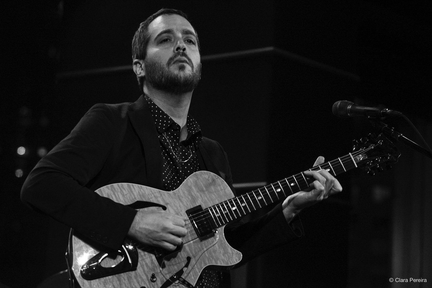 Yotam Silberstein, 2019