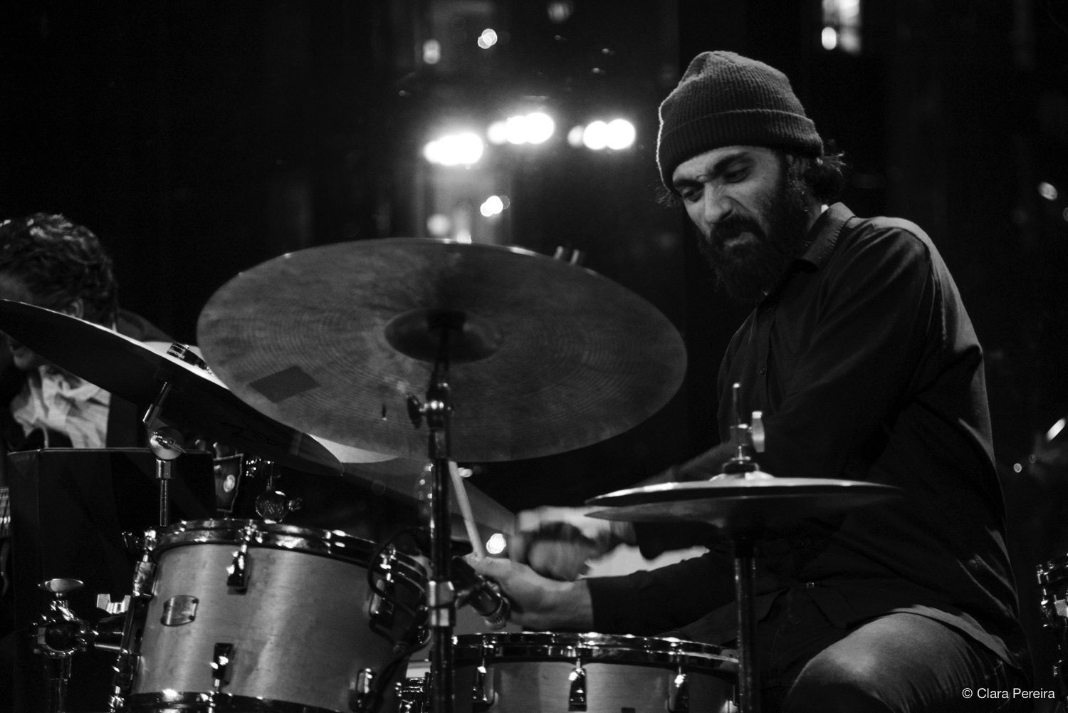 Daniel Dor, 2019