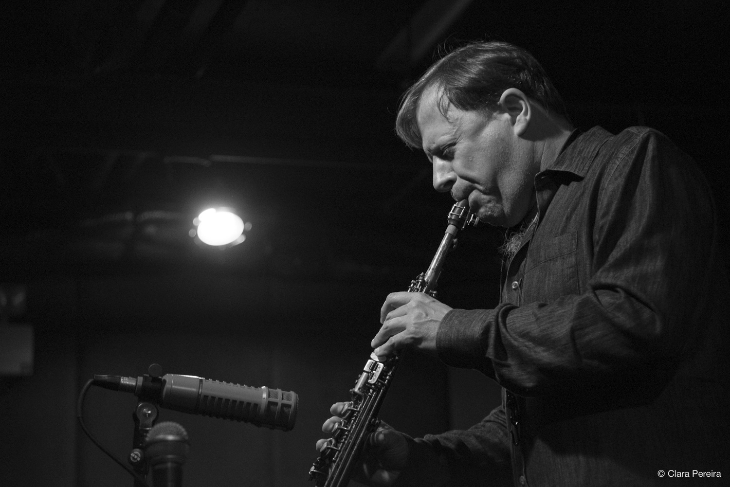 Chris Potter, 2019