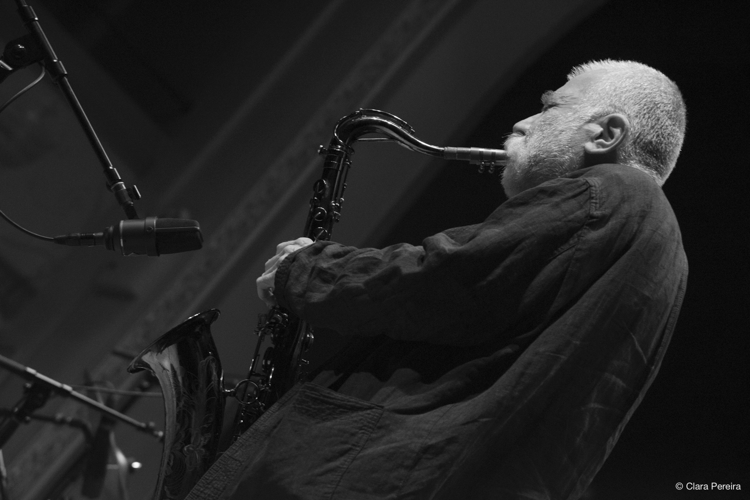 Peter Brotzmann, 2019
