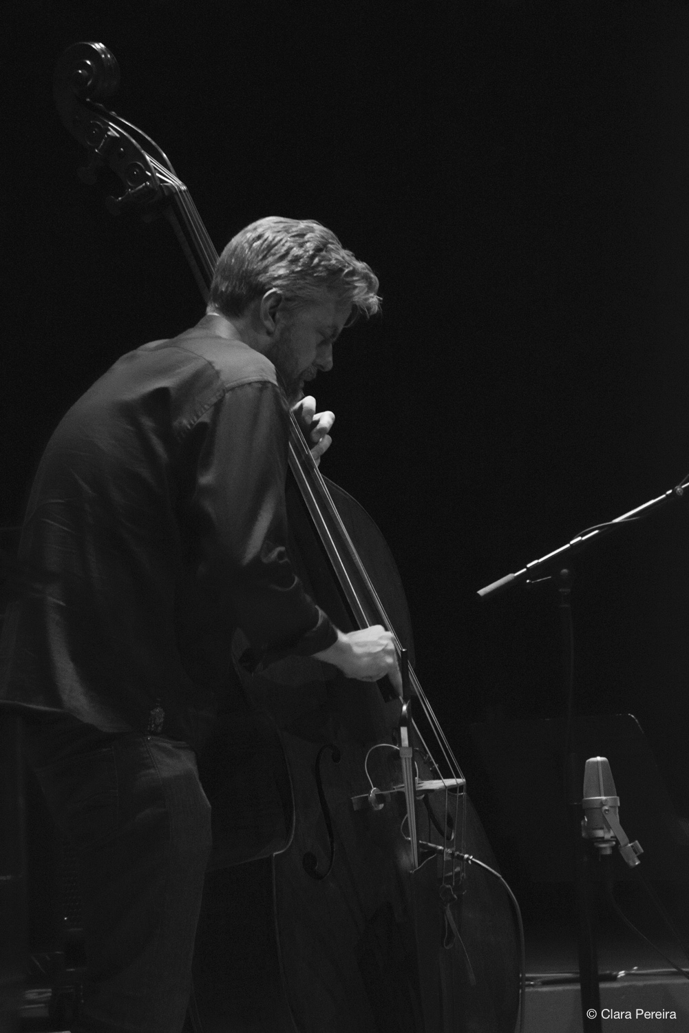 Chris Lightcap, 2019