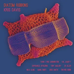 kris-davis-diatom-ribbons.jpg