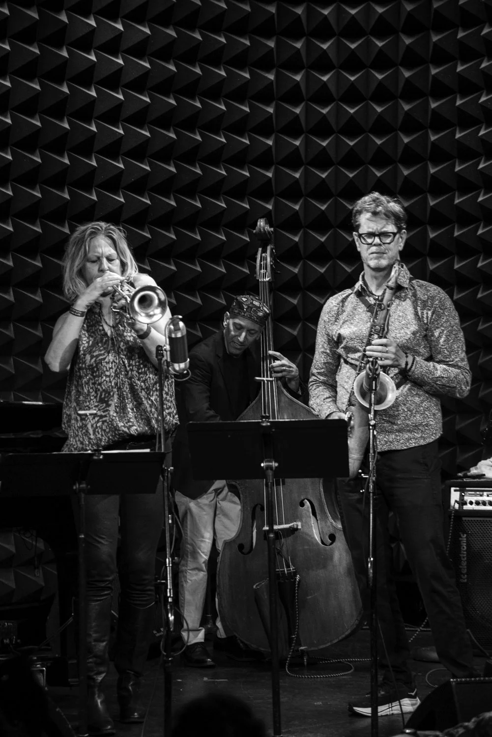 Ingrid Jensen, David Ambrosio, Donny McCaslin
