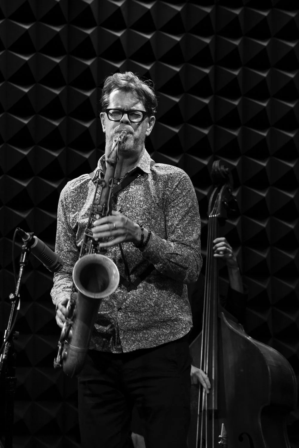 Donny McCaslin