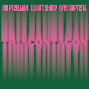 perelman-sharp-baptista-triacontagon.jpg