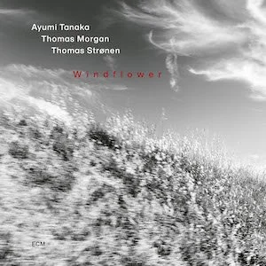 Ayumi Tanaka / Thomas Morgan / Thomas Strønen - Windflower