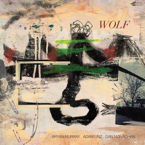 bryan-murray-wolf.jpg