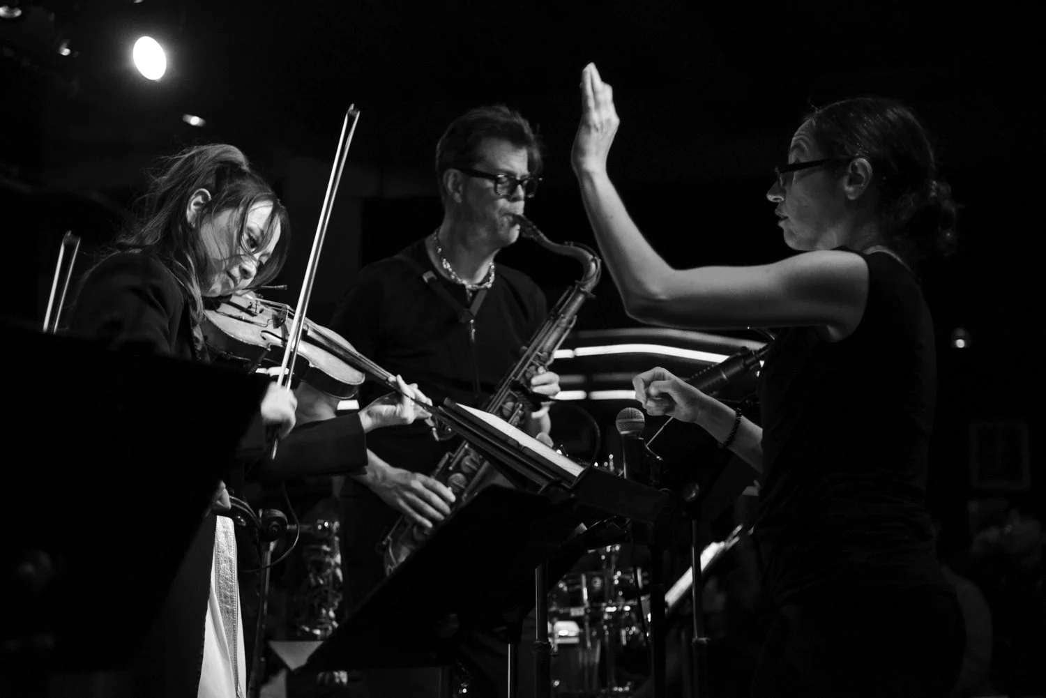 Meg Okura, Donny McCaslin, Erica Seguine