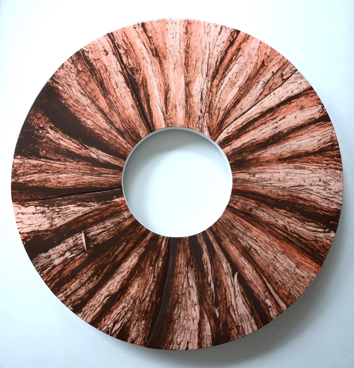Dawn Redwood