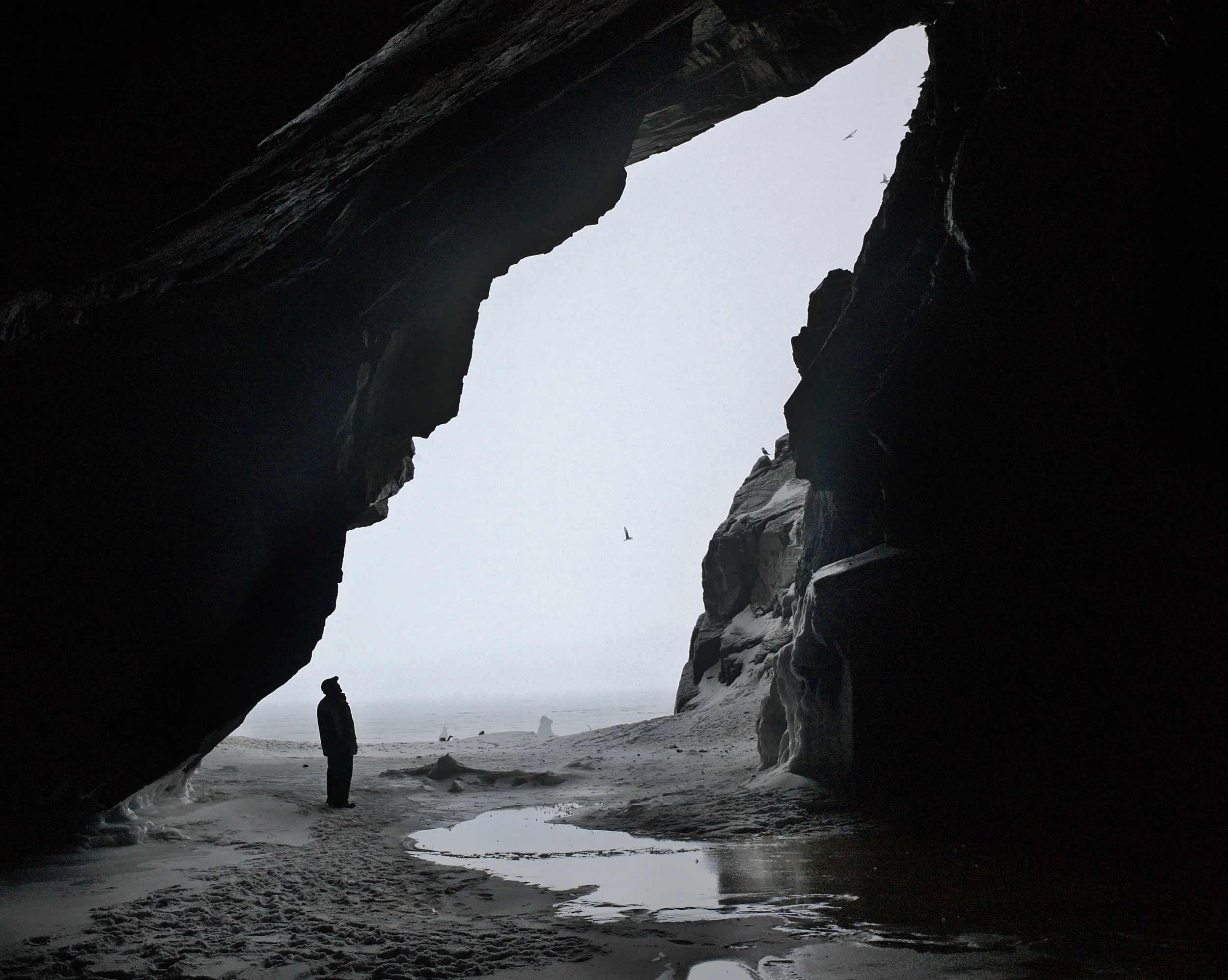 Bird Cave (2007)