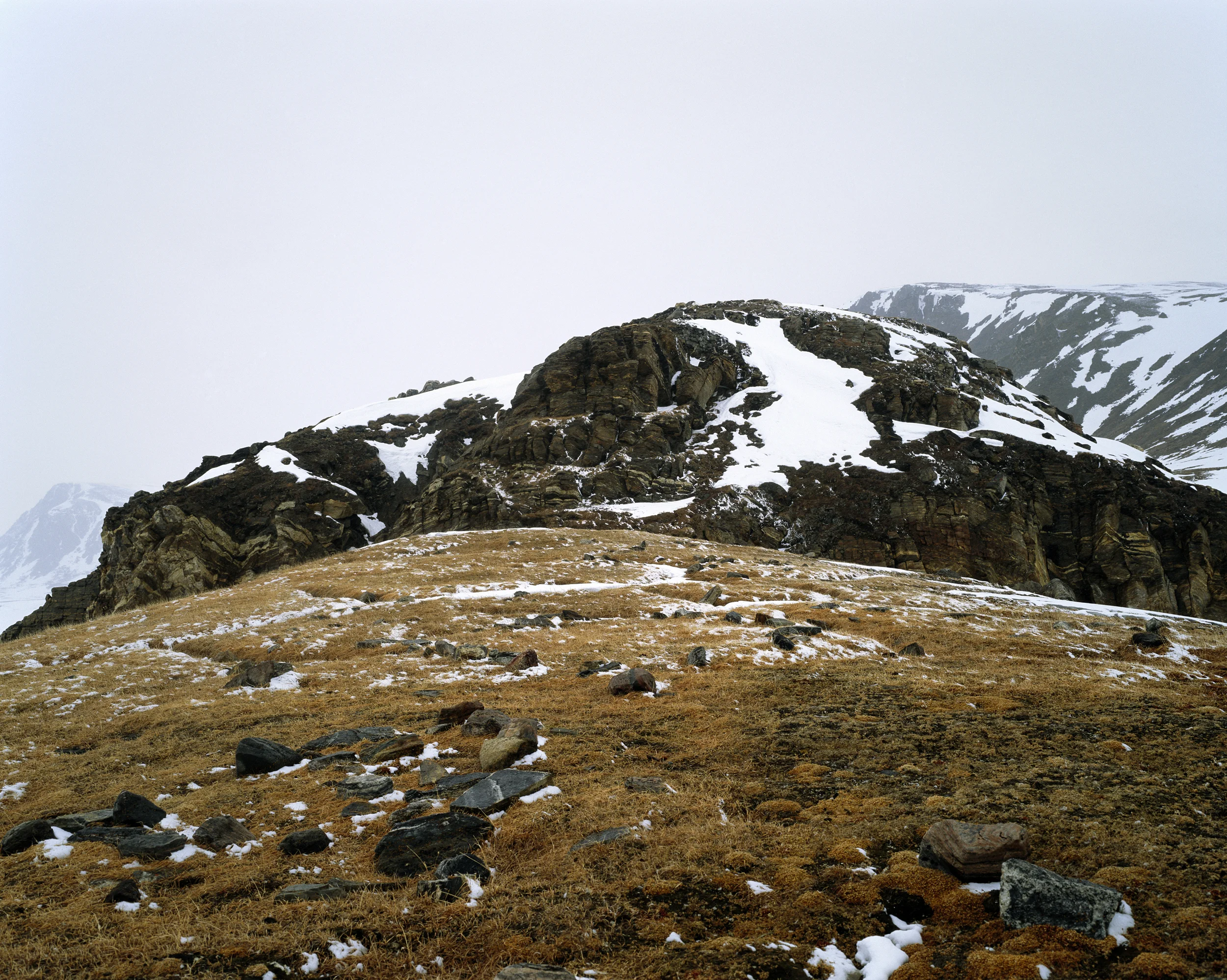 Spring Grass, Bylot Mountains (2007)