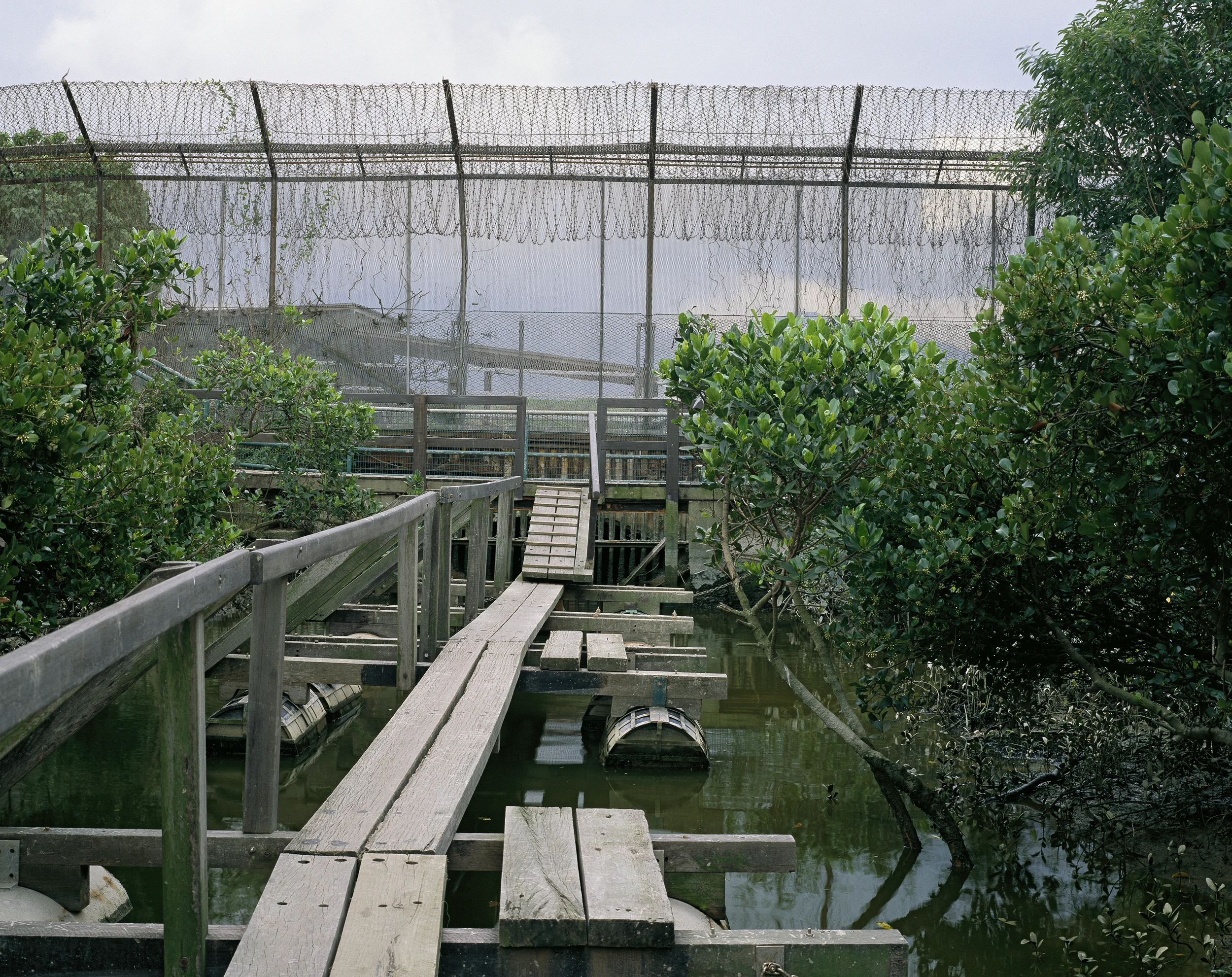 China Border (2010)