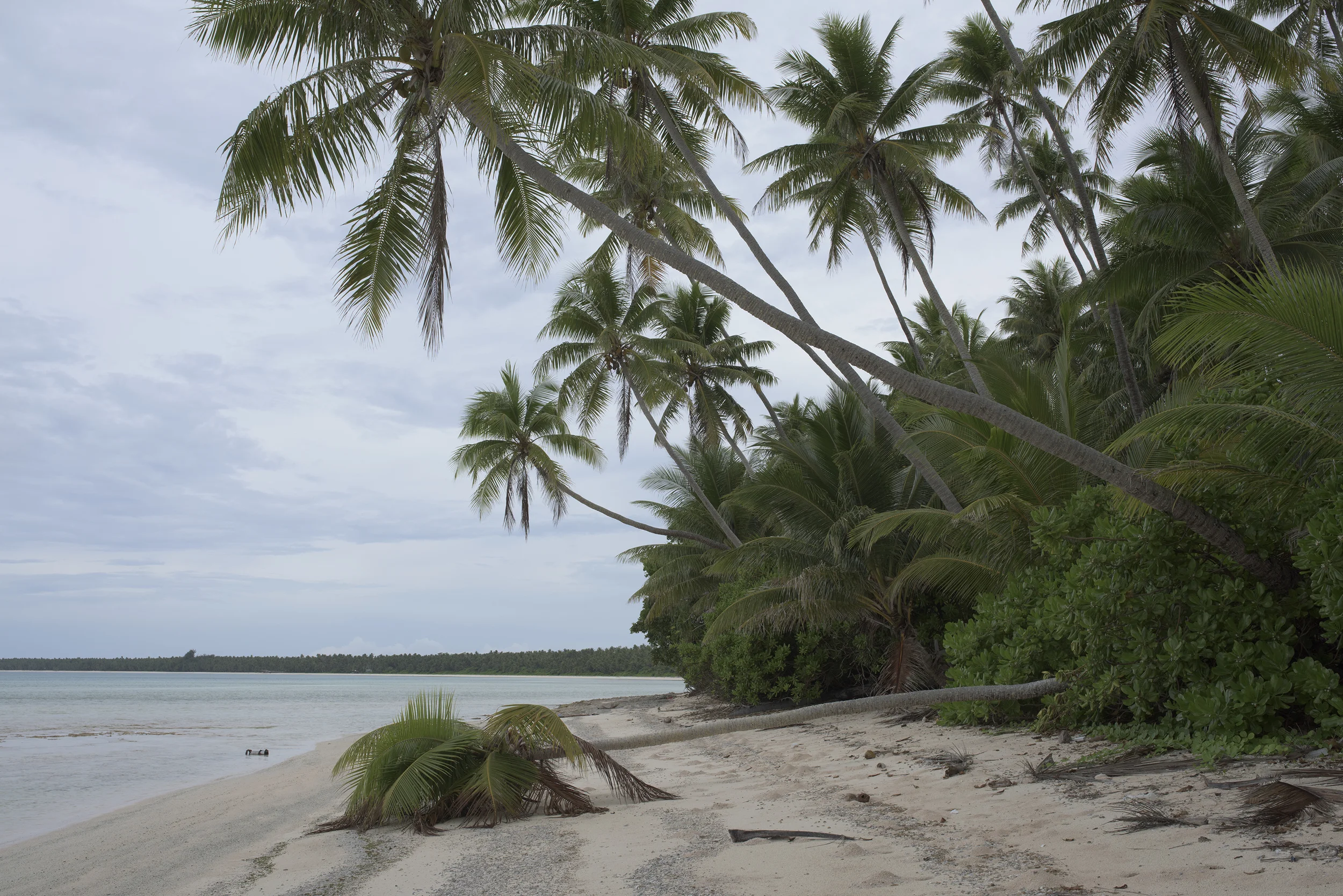 Kebjeltak Island #2, Arno Atoll (2015)