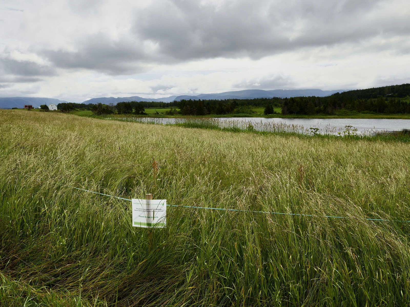 Grand Codroy Estuary — Philip Jessup