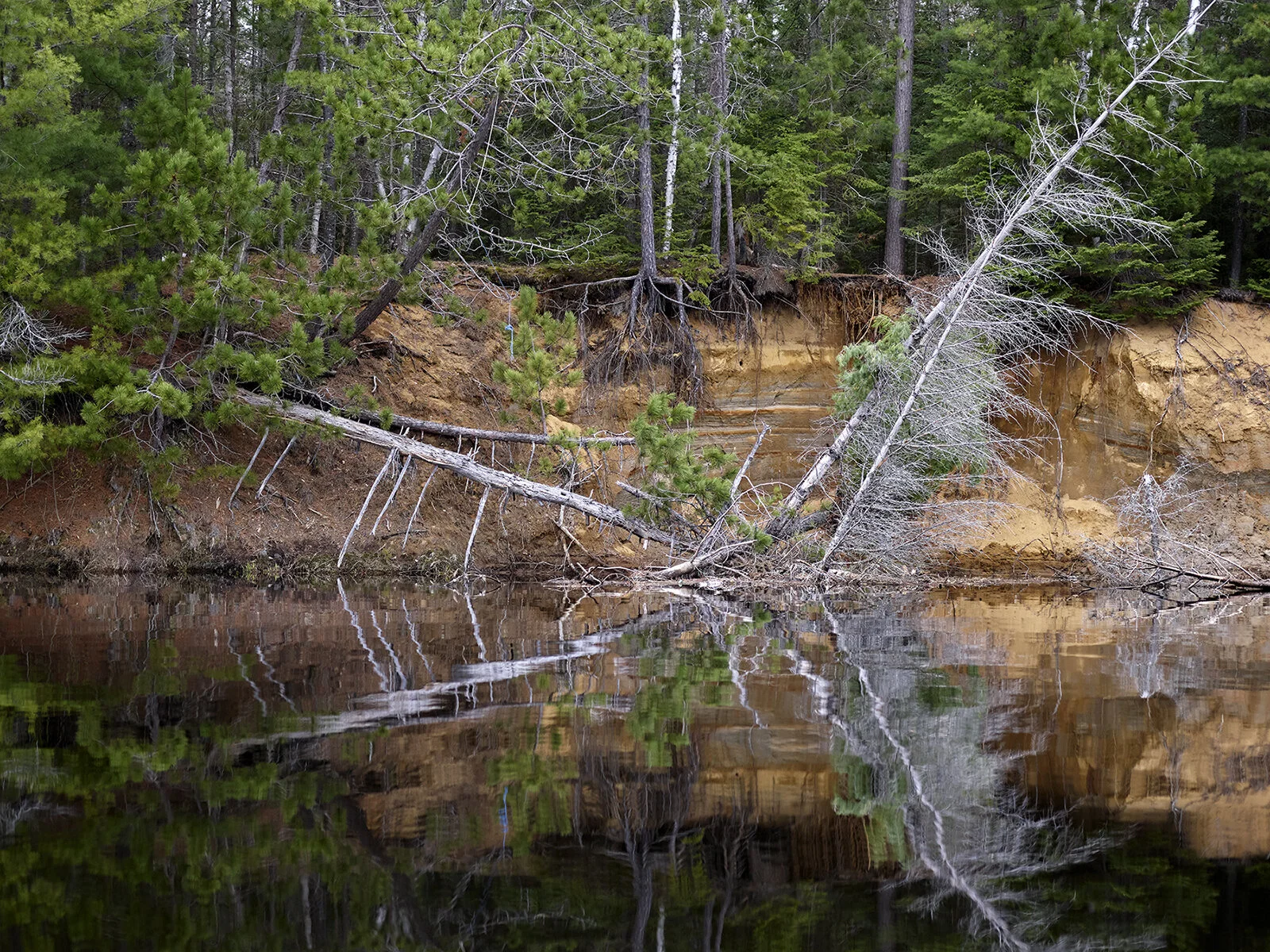 Lower Oxtongue River — Philip Jessup