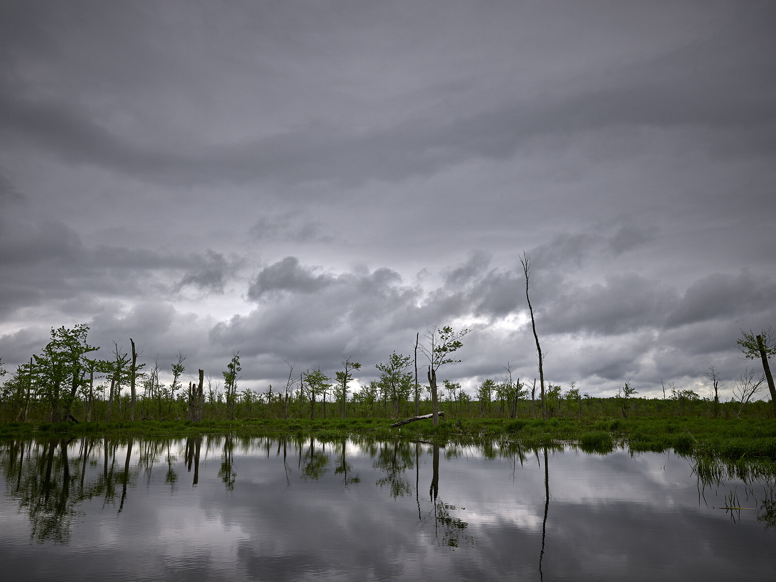 Passing Storm, Minesing Wetlands (2020)