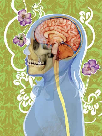 "HEAD"