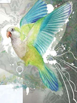 "MONK PARAKEET AND CROCODILLIANS"