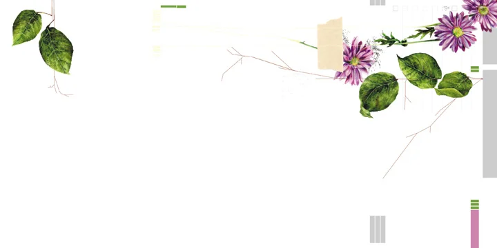 DIK_flowers_page1.jpg