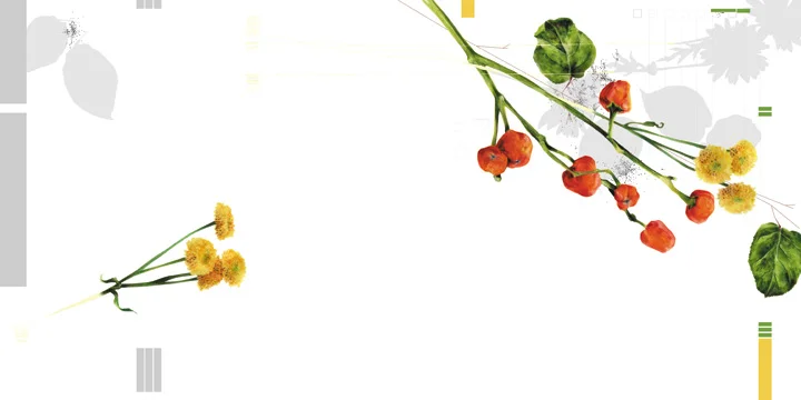 DIK_flowers_page2.jpg