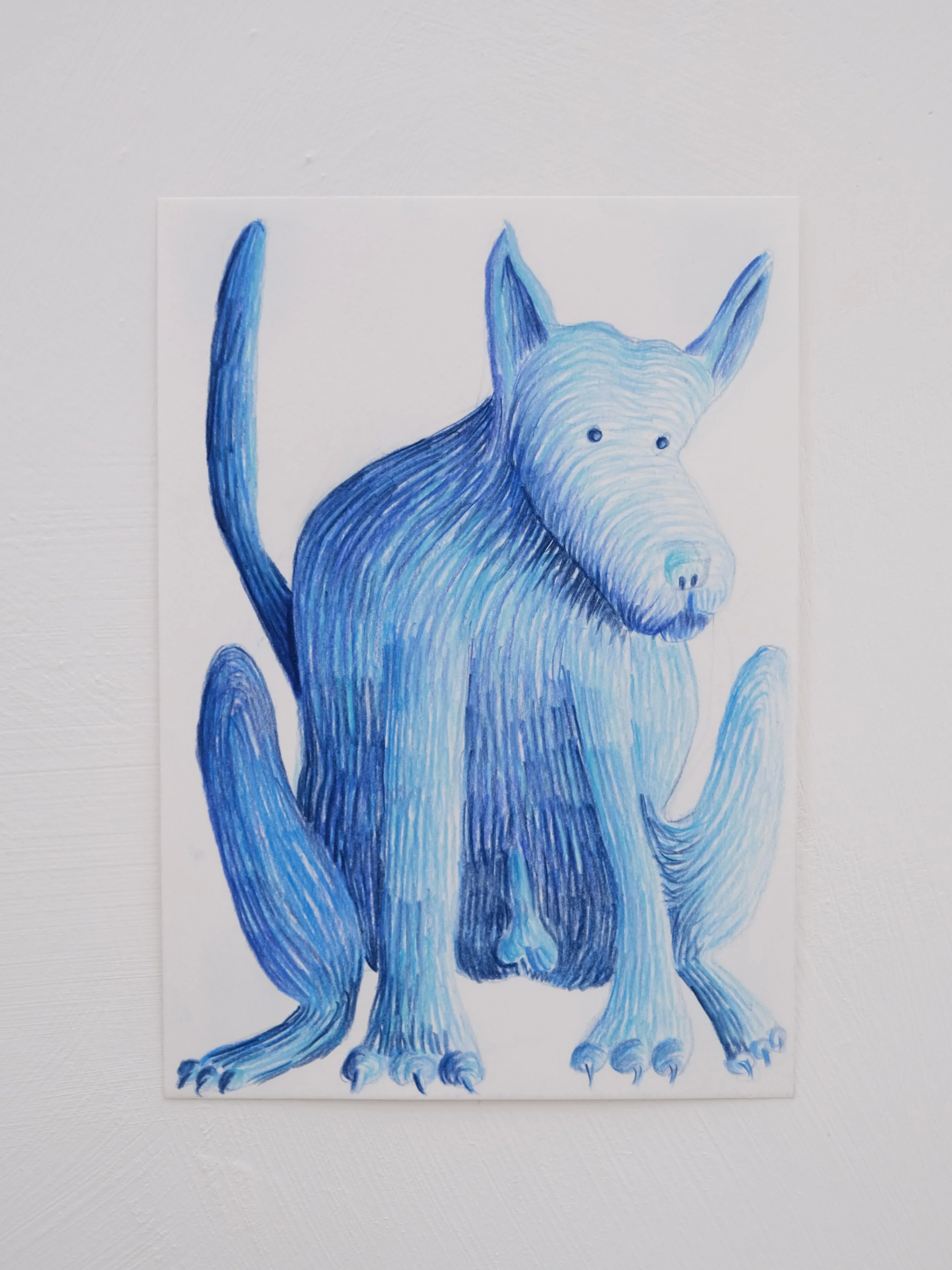 Blue dog - 2026