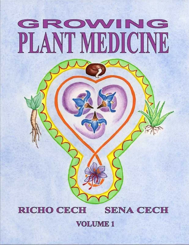 Growing-Plant-Medicine-Book-Cover.jpeg
