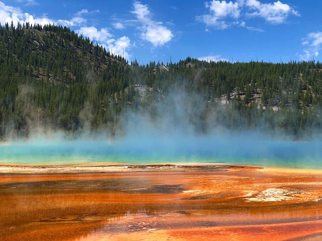 🚩LOS ANGELES 🚩We have a beginners photography class tomorrow, Sunday at 10am and a Sunset Photography walk at 6:30pm! Use promo code &lsquo;INSTA&rsquo; for a discount! 📸  #islastudio #yellowstonenationalpark #grandprismaticspring #geyser