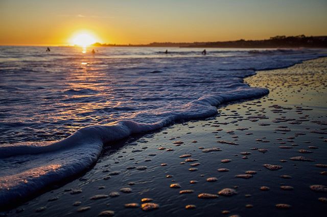 Hey San Francisco! We still have some seats left for our beginners photography class and sunset photo walk along the Golden Gate Bridge this Sunday! Use promo code &lsquo;20OFF&rsquo; for a discount! 📸 Taken at F4, 1/125th of a second. 🌉🌁