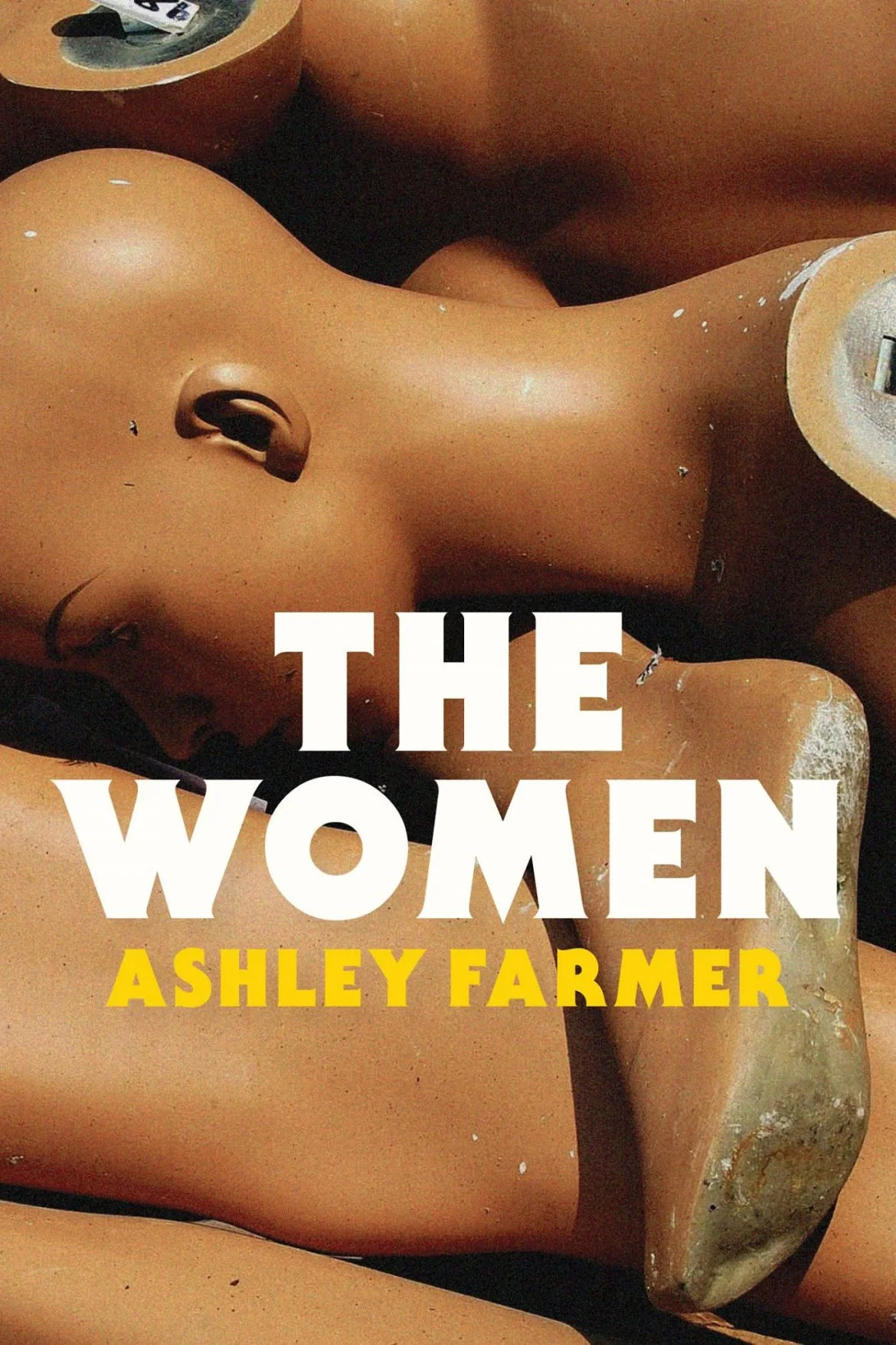 Book Review : Ashley Farmer - The Women (2016)