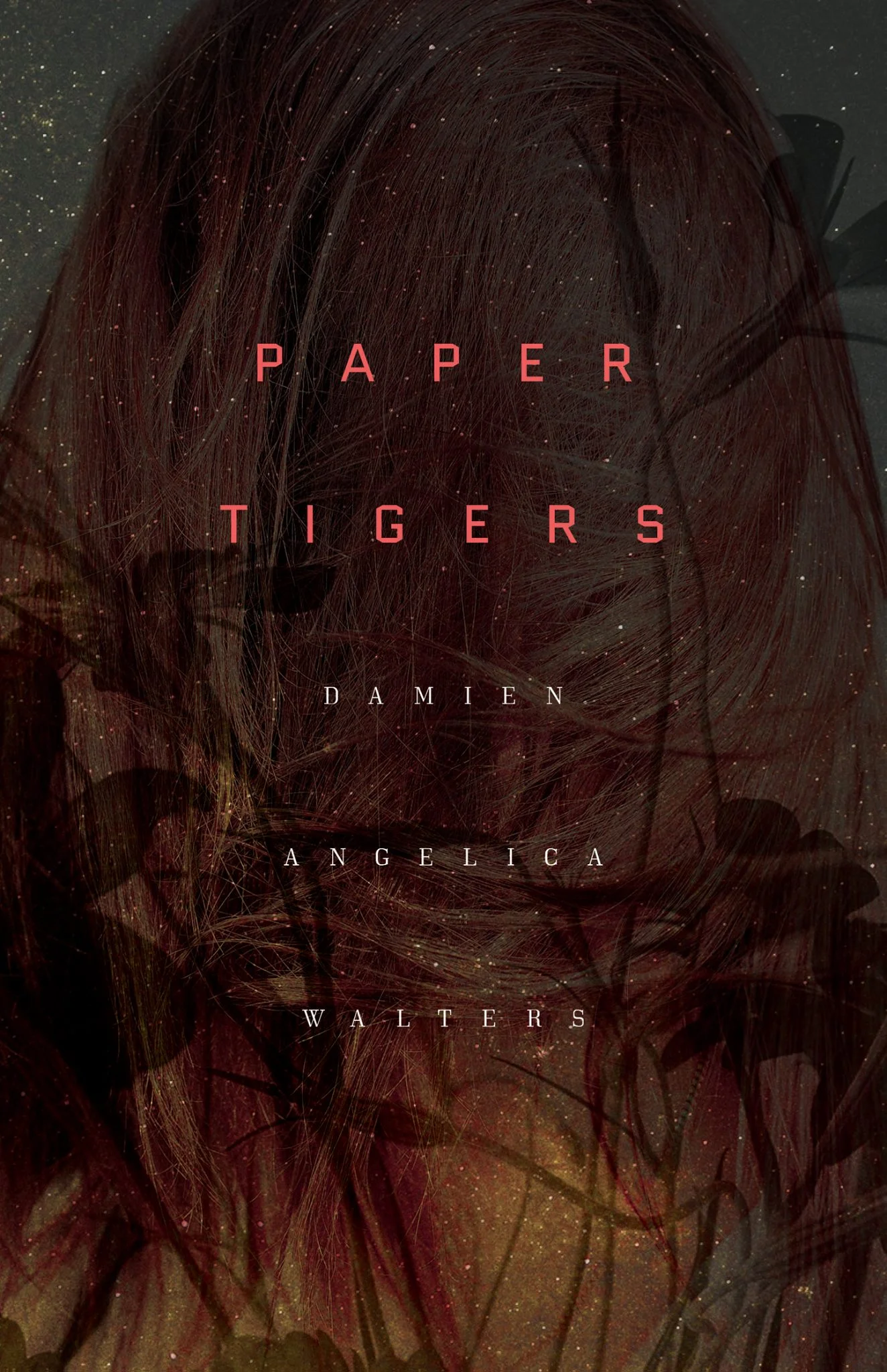 Book Review : Damien Angelica Walters - Paper Tigers (2016)