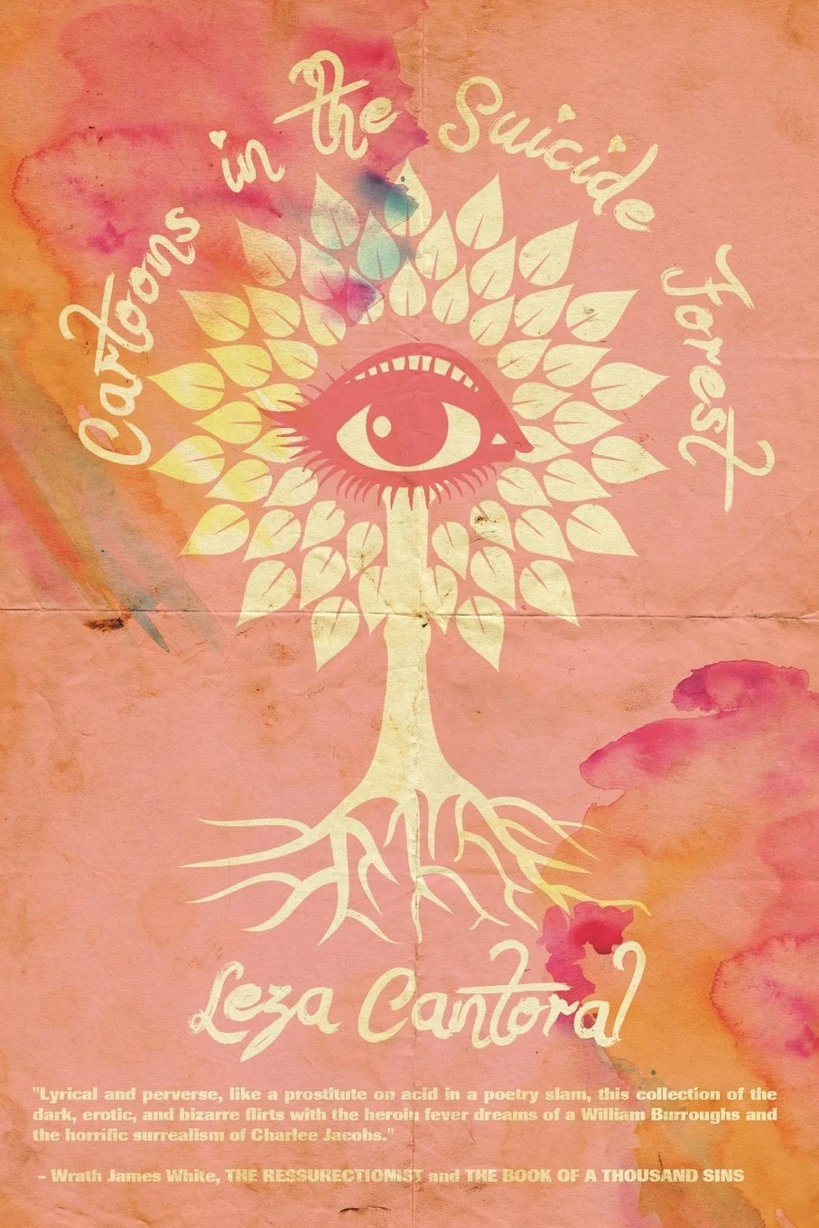 Book Review : Leza Cantoral - Cartoons in the Suicide Forest (2016)