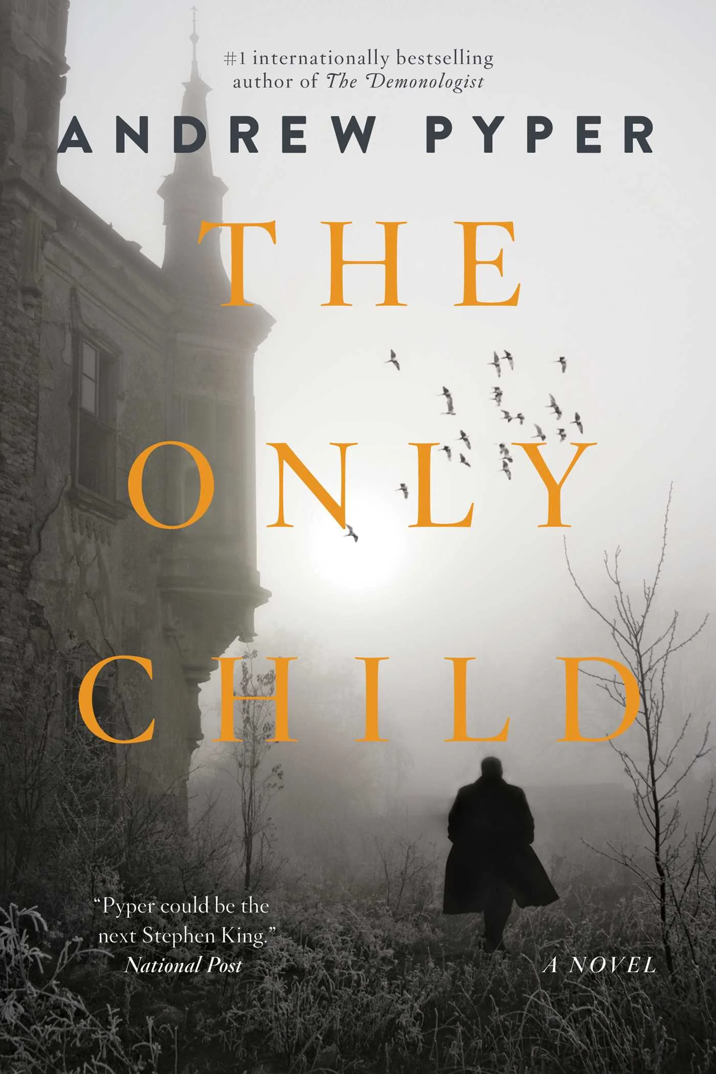 Book Review : Andrew Pyper - The Only Child (2017)