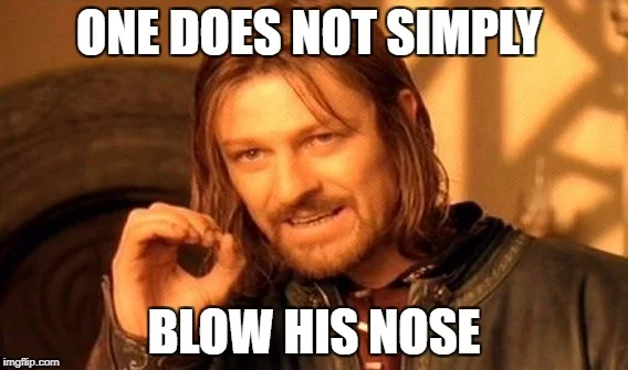 blog - boromir 3.jpg
