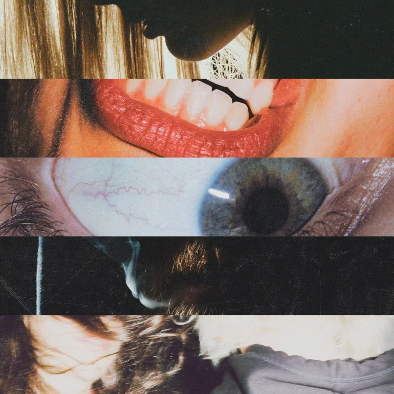 Album Review : Nick Murphy - Missing Link (2017)