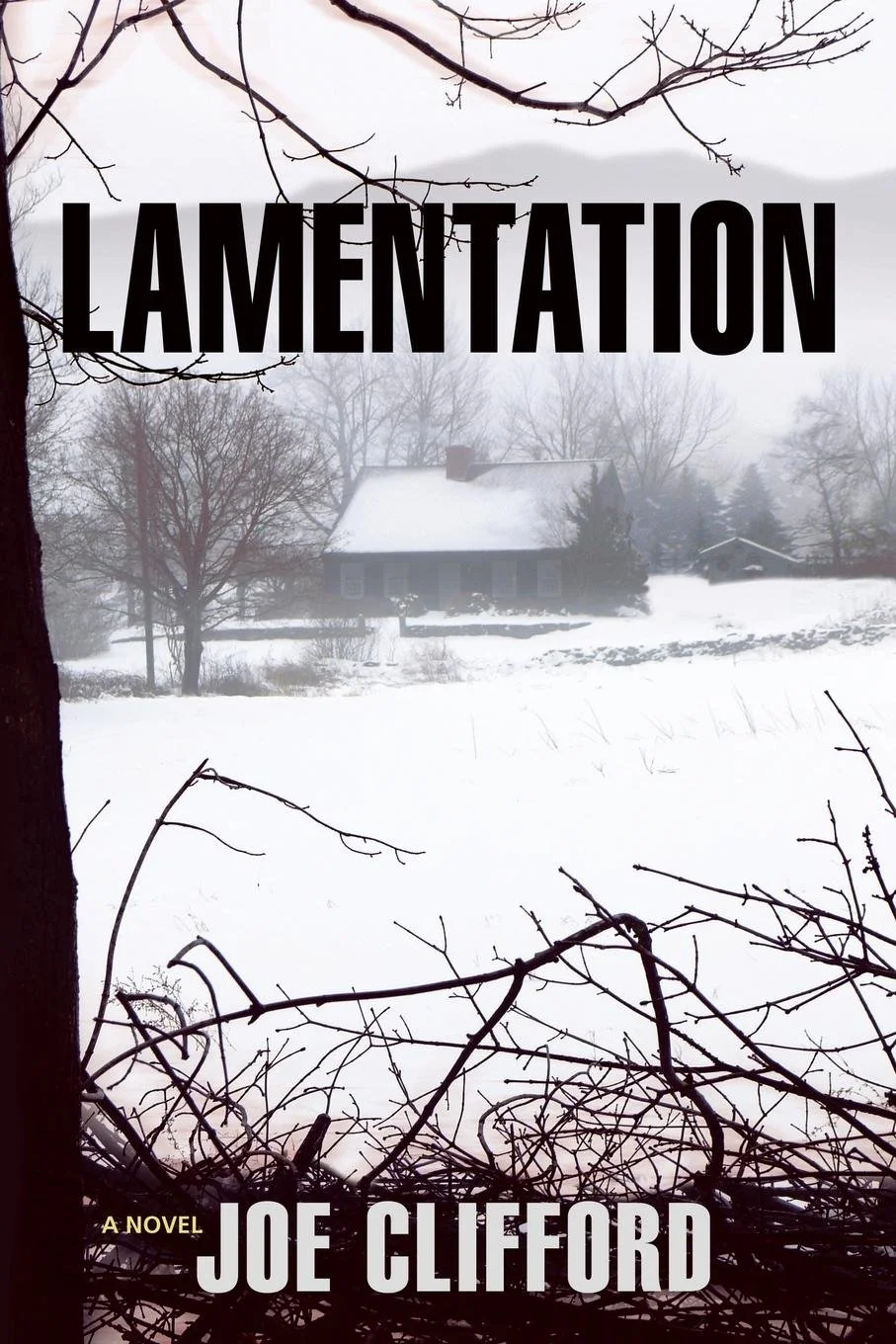 Book Review : Joe Clifford - Lamentation (2014)