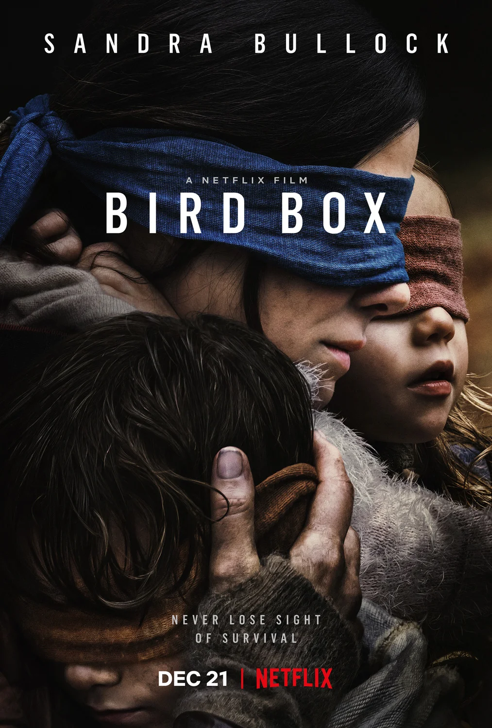 Movie Review : Bird Box (2018)