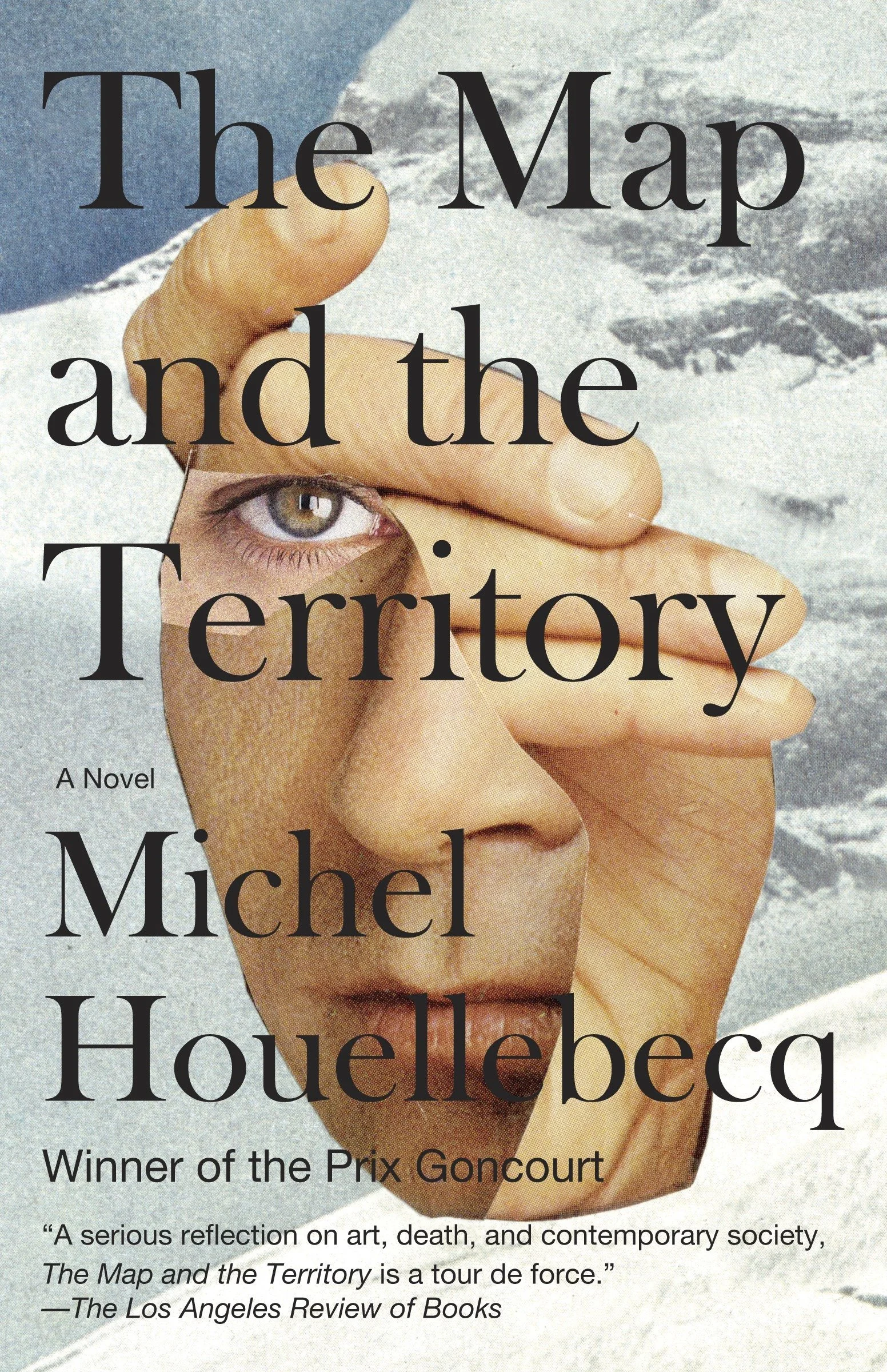 Book Review : Michel Houellebecq - The Map and the Territory (2010)