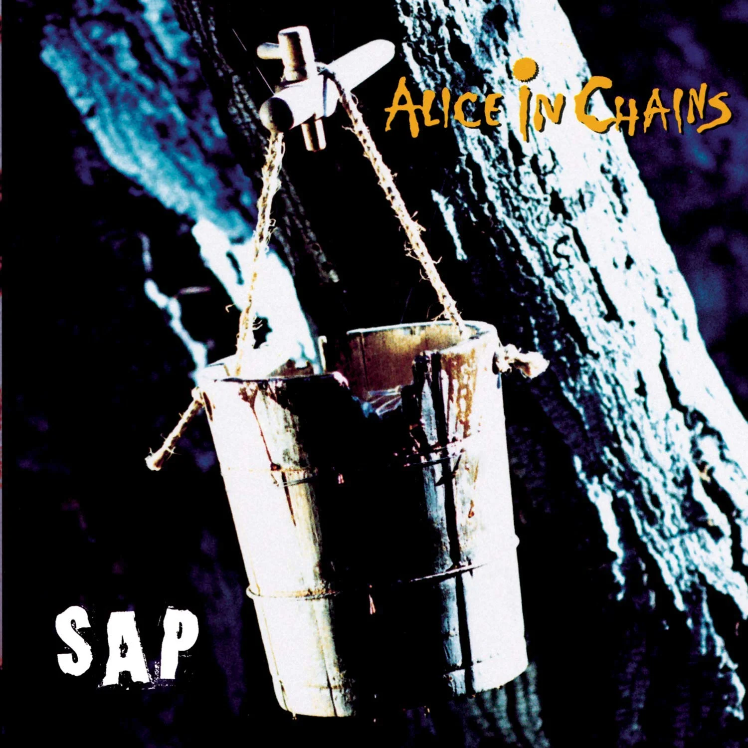 Album Review : Alice in Chains - Sap (1992)