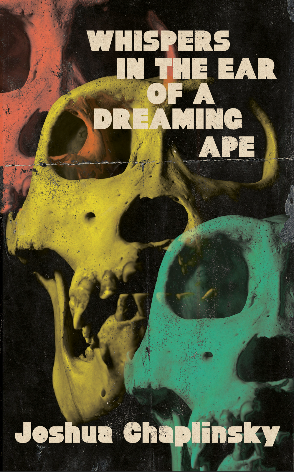 Book Review : Joshua Chaplinsky - Whispers in the Ear of a Dreaming Ape (2019)