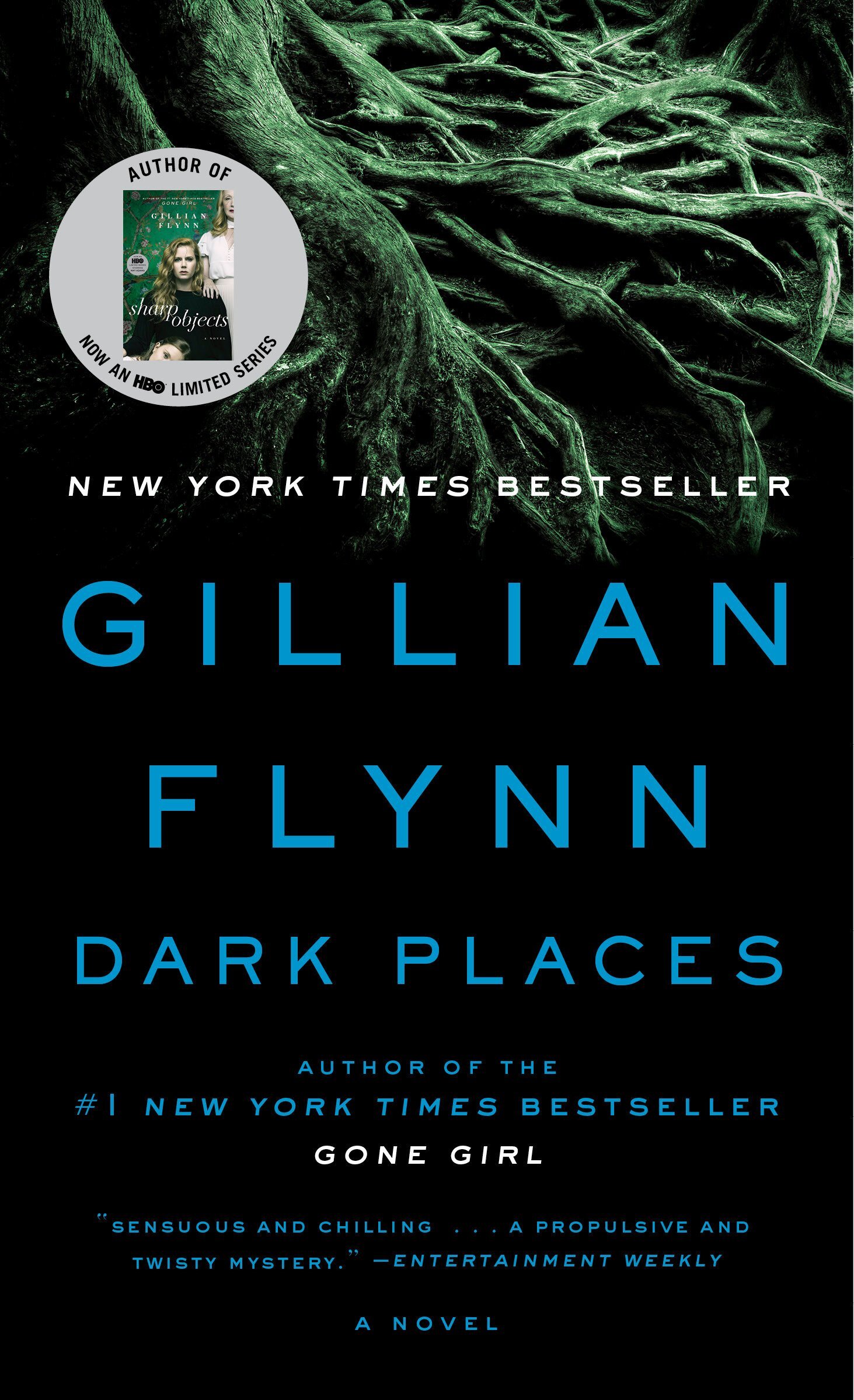 Гиллиан флинн темные тайны. Джиллиан Флинн (Gillian Flynn) иллюстрации. Тёмные тайны Гиллиан Флинн книга. Dark places Audiobook.