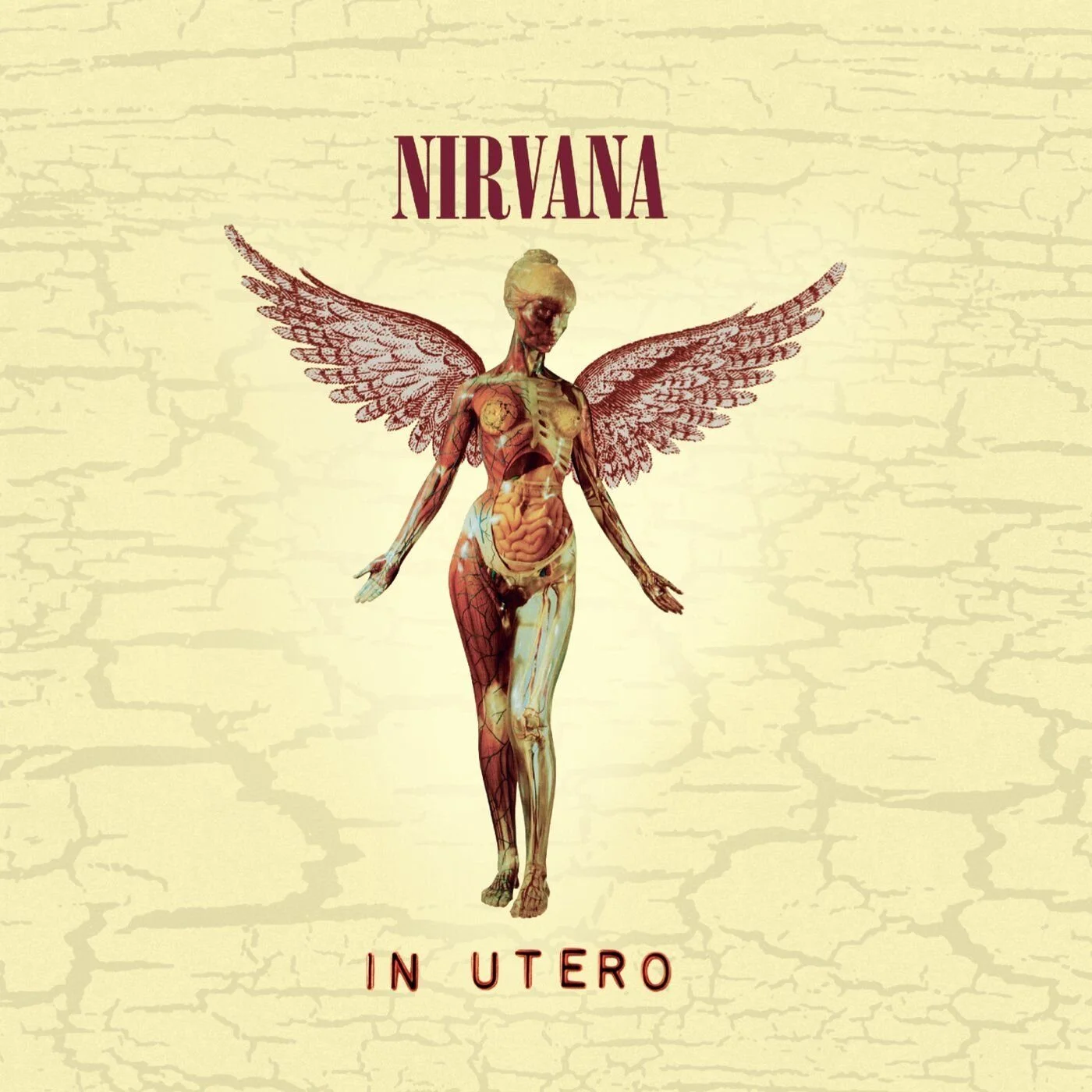 Classic Album Review : Nirvana - In Utero (1993)