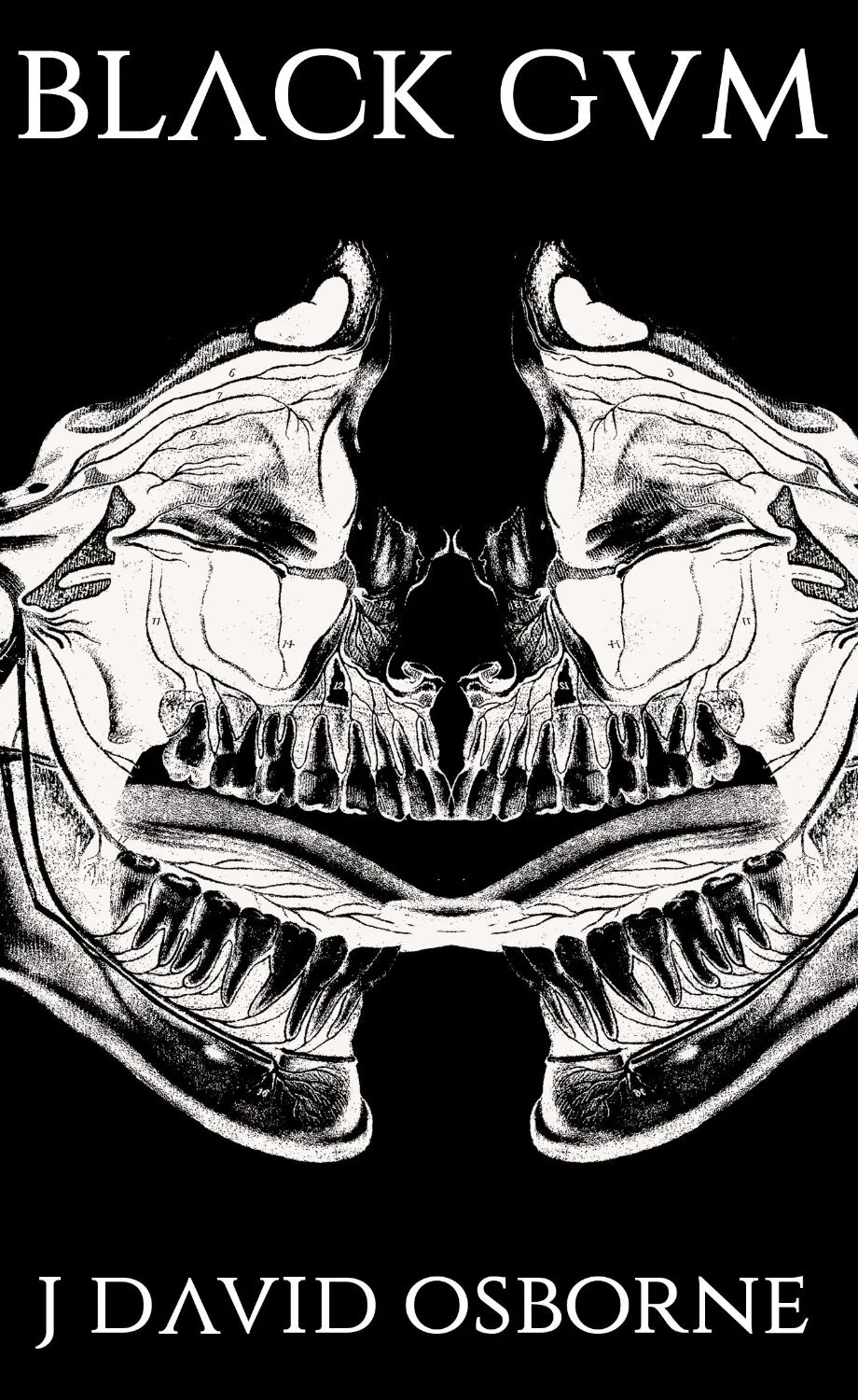 Book Review : J. David Osborne - Black Gum (2015)