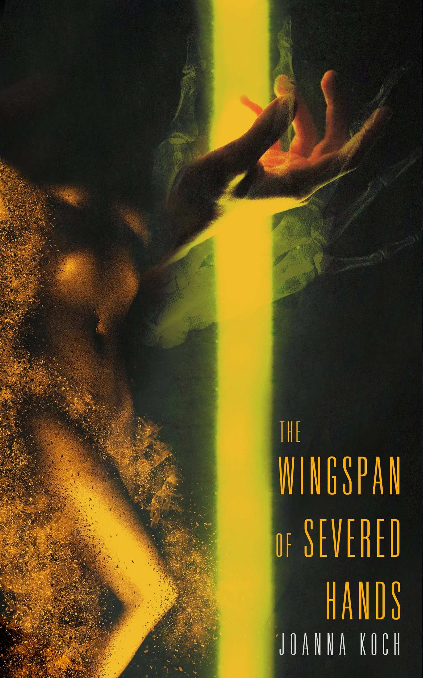 Book Review : Joe Koch - The Wingspan of Severed Hands (2020)