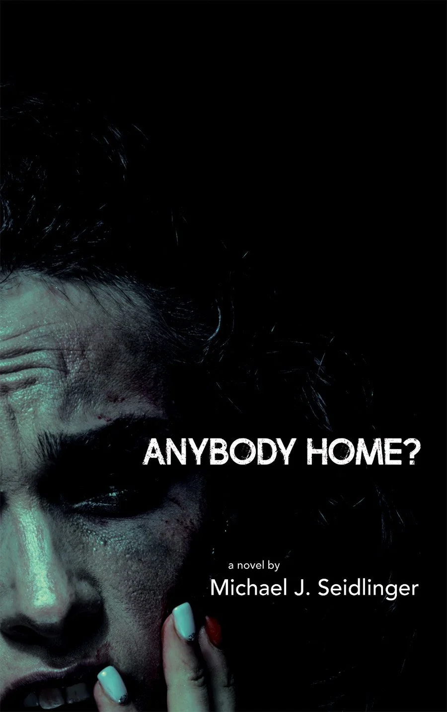 Book Review : Michael J. Seidlinger - Anybody Home? (2022)